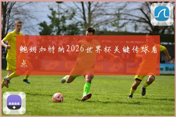 鲍姆加特纳2026世界杯关键传球看点