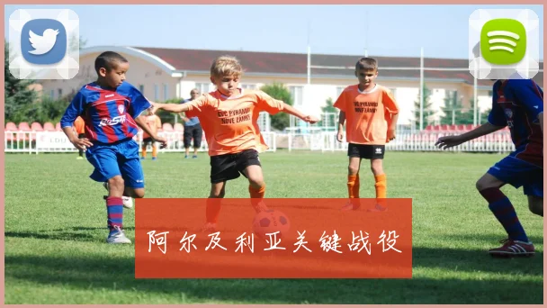 阿尔及利亚关键战役