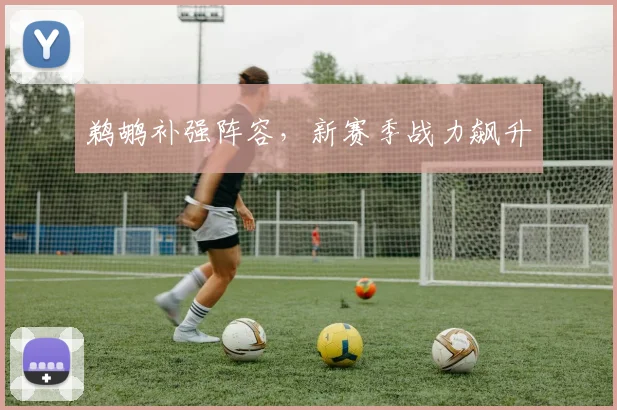 鹈鹕补强阵容，新赛季战力飙升