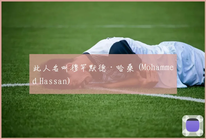 此人名叫穆罕默德·哈桑 (Mohammed Hassan)