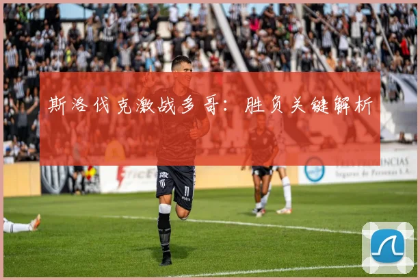 斯洛伐克激战多哥：胜负关键解析