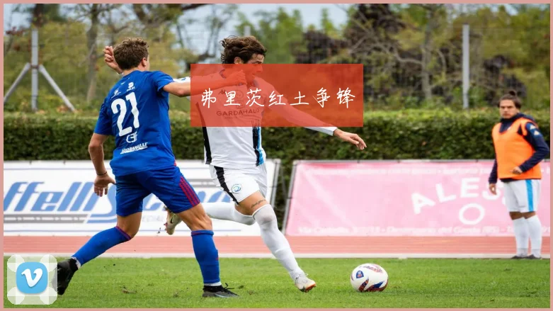 弗里茨红土争锋