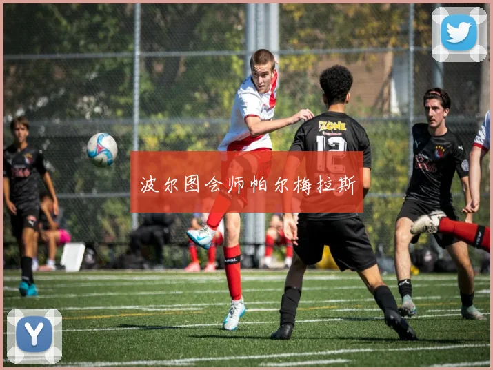 波尔图会师帕尔梅拉斯