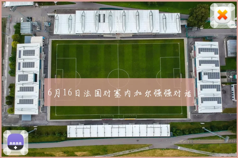 6月16日法国对塞内加尔强强对话