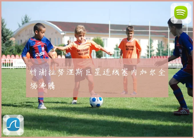 特谢拉努涅斯巨星连线塞内加尔全场沸腾