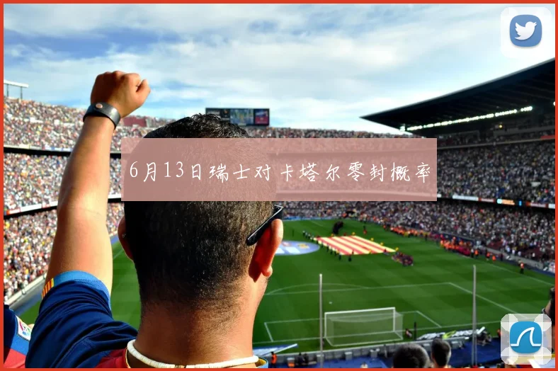 6月13日瑞士对卡塔尔零封概率