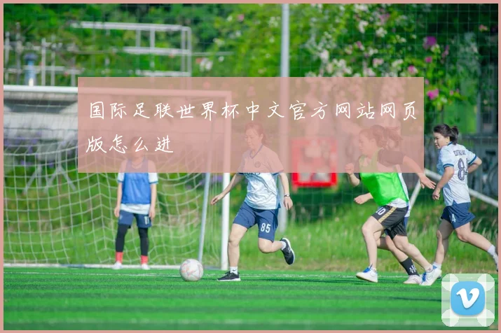 国际足联世界杯中文官方网站网页版怎么进