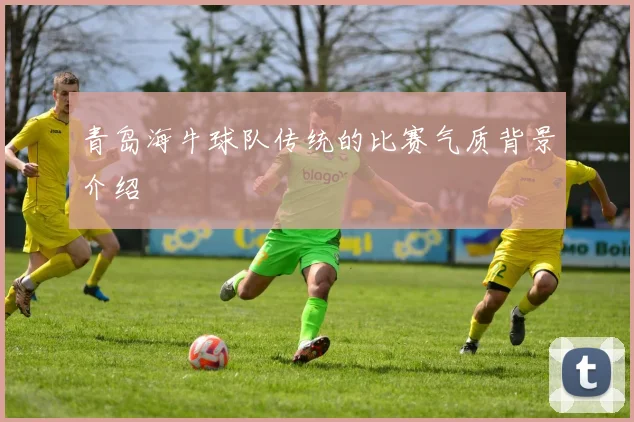 青岛海牛球队传统的比赛气质背景介绍