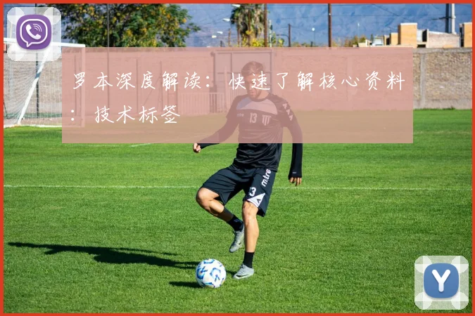 罗本深度解读：快速了解核心资料：技术标签