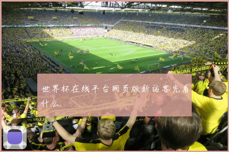 世界杯在线平台网页版新访客先看什么